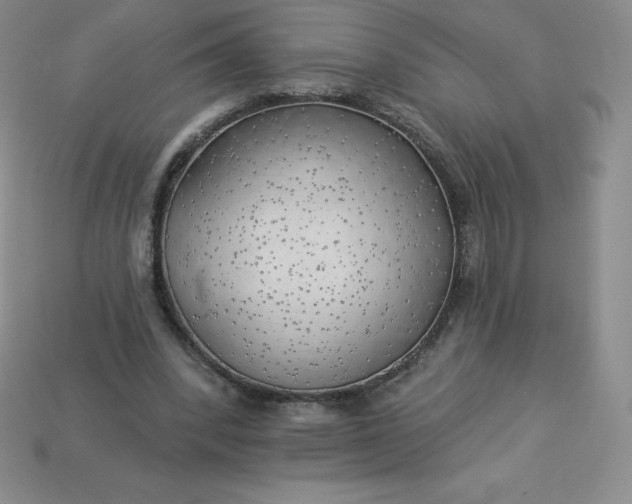 X0000113920392200910090941