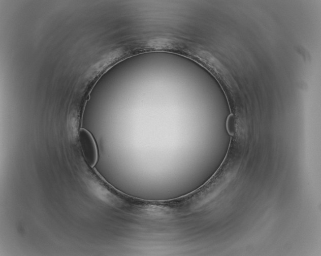 X0000113920393200910090941