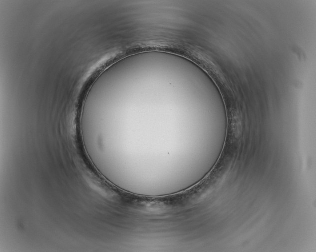X0000113920395200910090941
