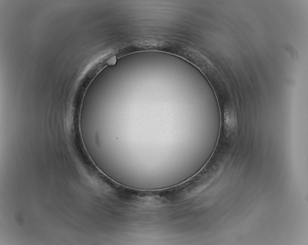 X0000113920396200910090941