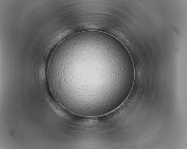 X0000113920398200910090940