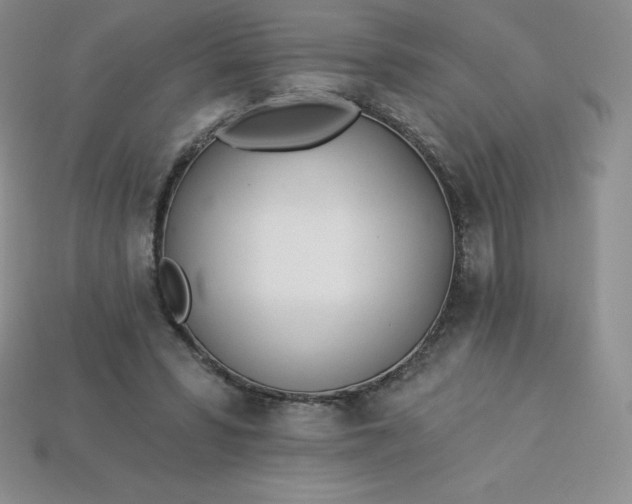 X0000113920399200910090940