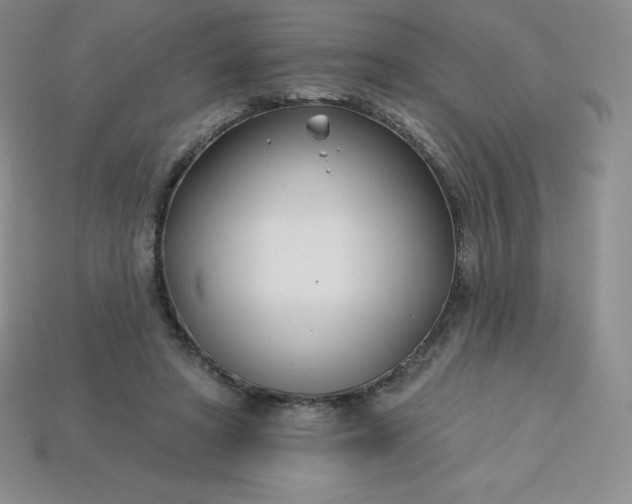 X0000113920402200910090940