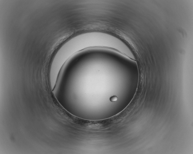 X0000113920403200910090940