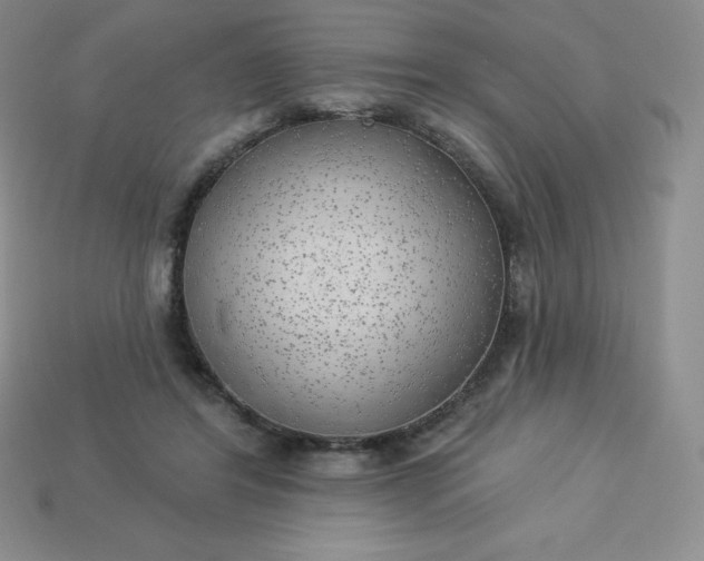 X0000113920404200910090940