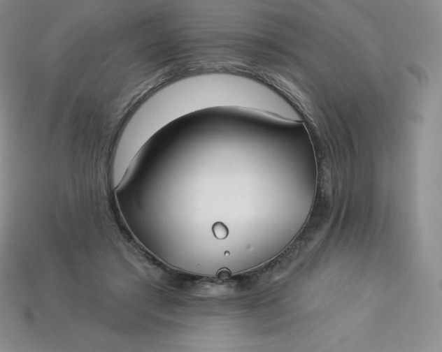 X0000113920405200910090940