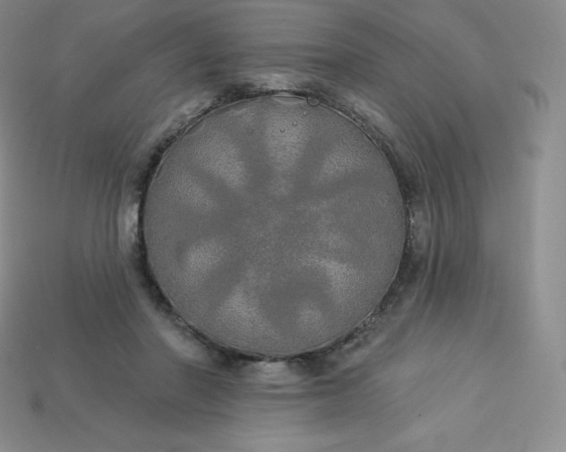 X0000113920406200910090940