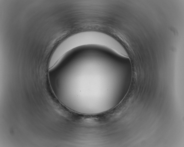 X0000113920407200910090940