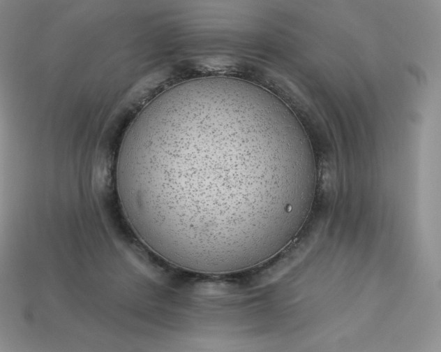 X0000113920408200910090940