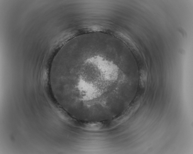 X0000113920410200910090940