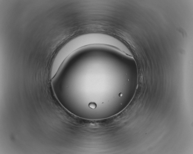 X0000113920411200910090940