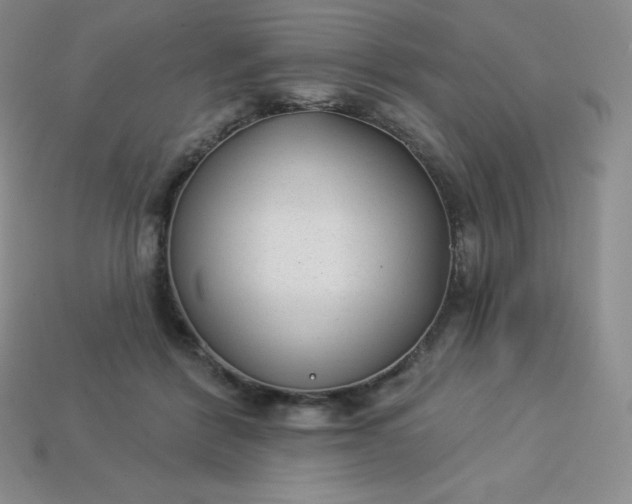X0000113920412200910090940