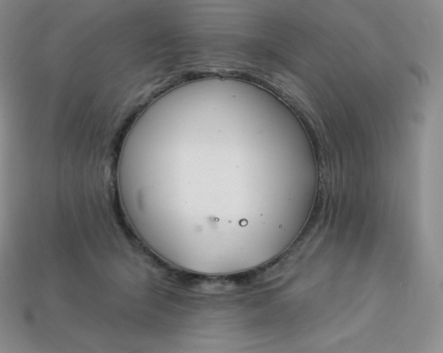 X0000113920415200910090940