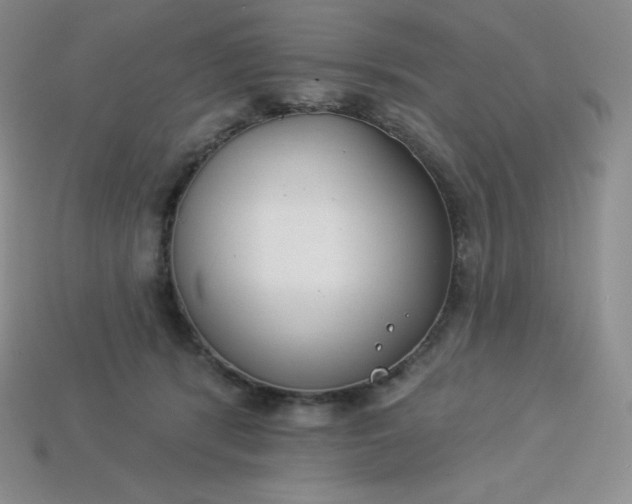 X0000113920416200910090940