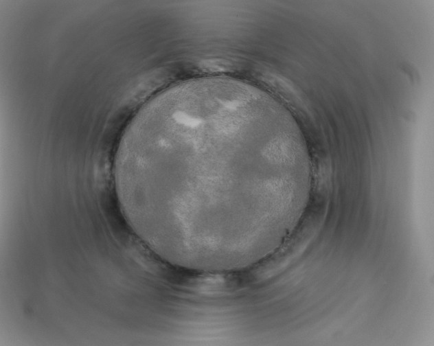 X0000113920418200910090940