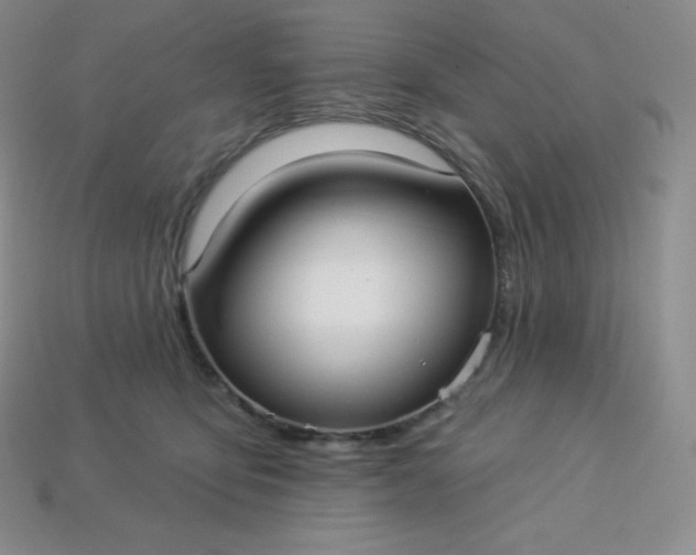 X0000113920419200910090940