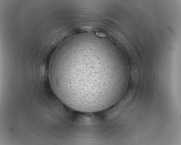 X0000113920420200910090940