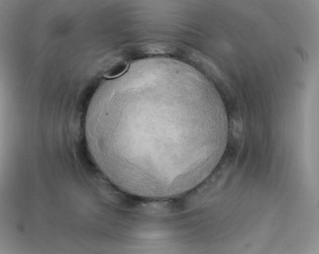 X0000113920422200910090940