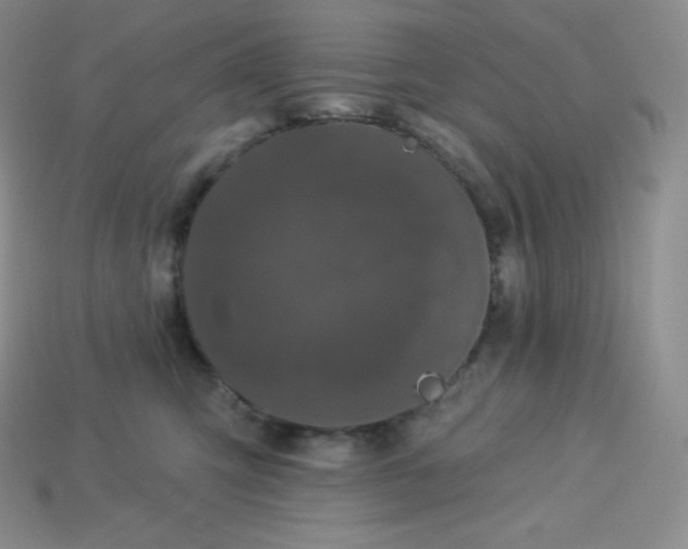 X0000113920423200910090940