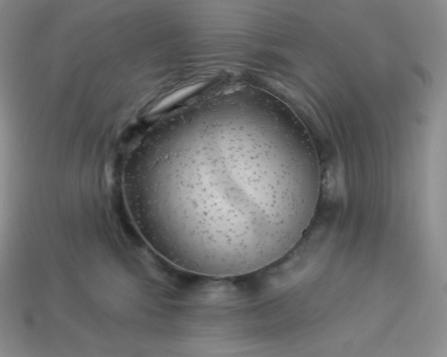 X0000113920424200910090940