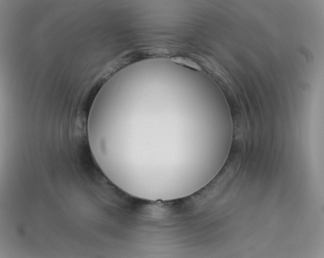 X0000113920425200910090940