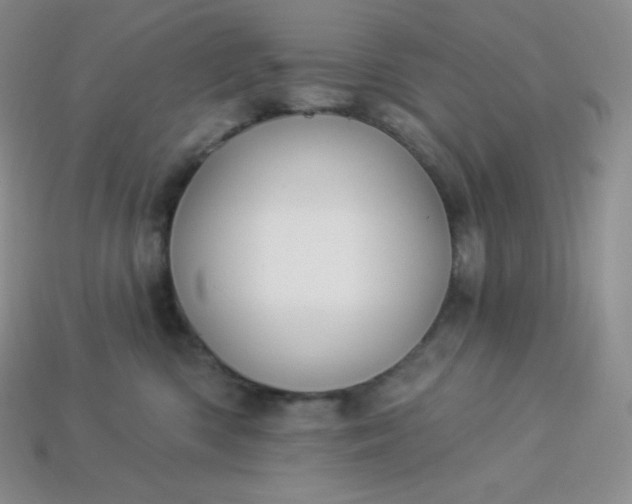X0000113920426200910090940
