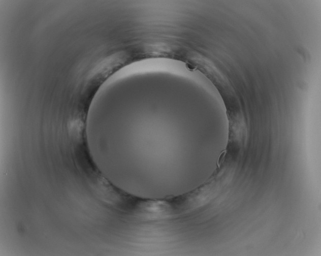 X0000113920427200910090940