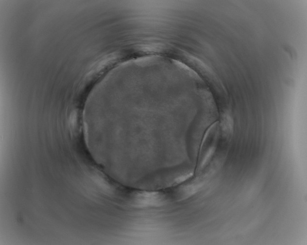 X0000113920428200910090940