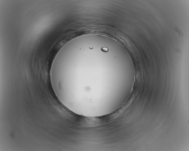 X0000113920429200910090940