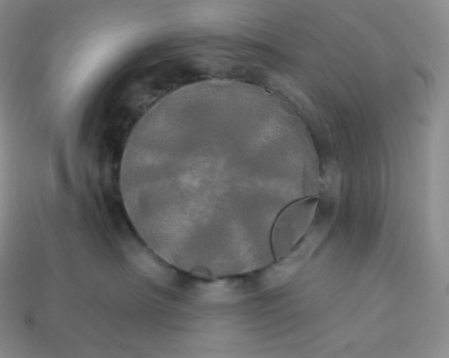 X0000113920430200910090940