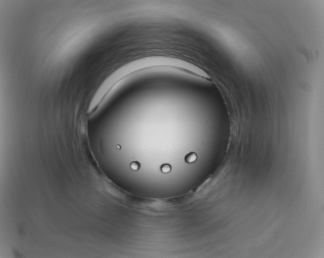 X0000113920431200910090940