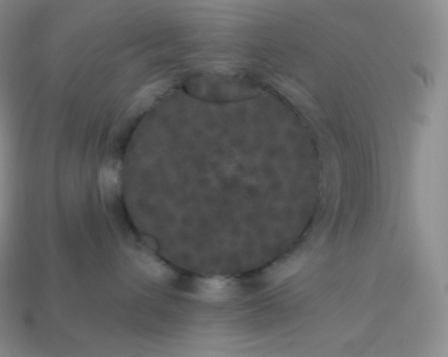 X0000113920432200910090940