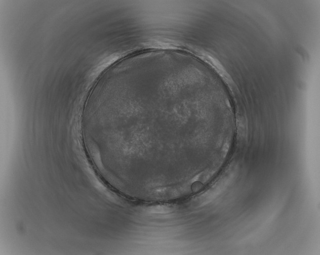 X0000113920433200910090939