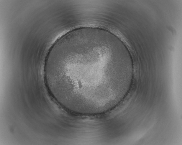 X0000113920434200910090939