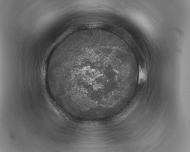 X0000113920435200910090939