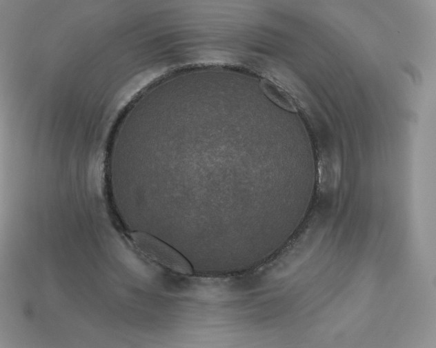X0000113920436200910090939