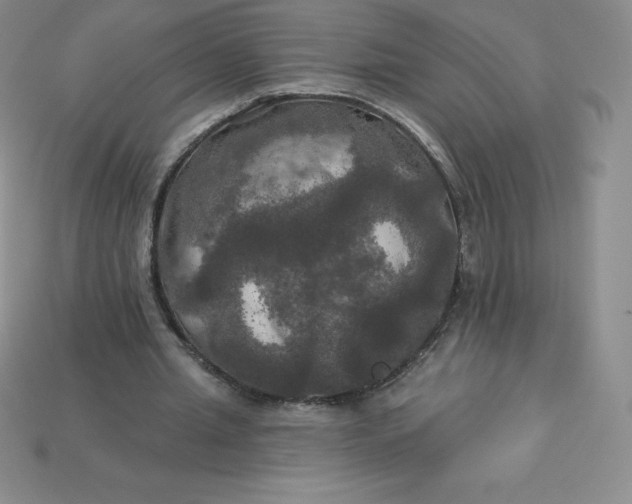 X0000113920437200910090939