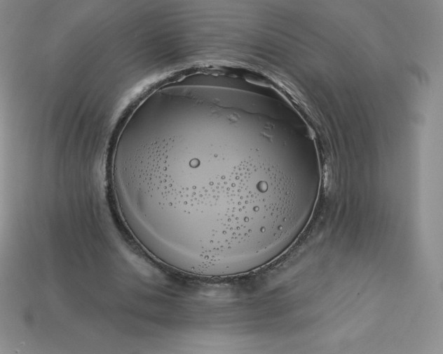 X0000113920438200910090939