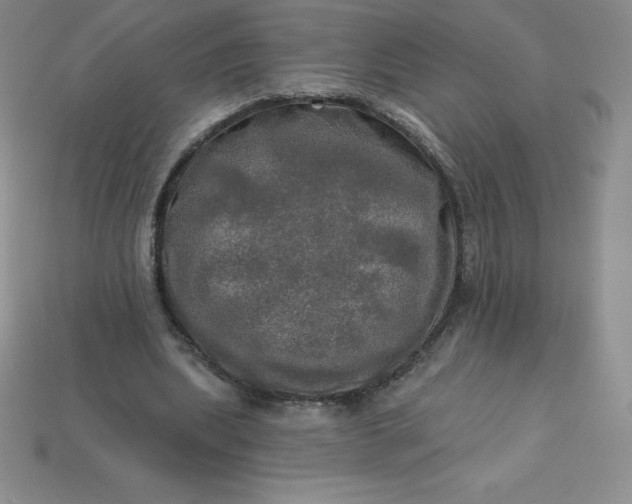 X0000113920439200910090939