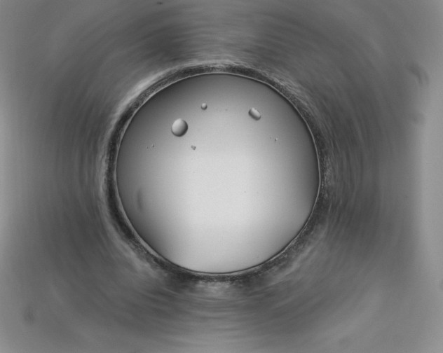 X0000113920440200910090939