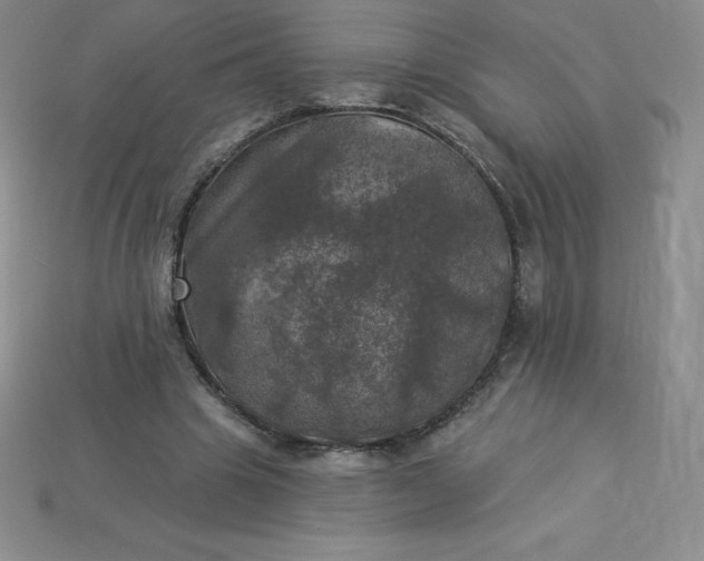 X0000113920441200910090939