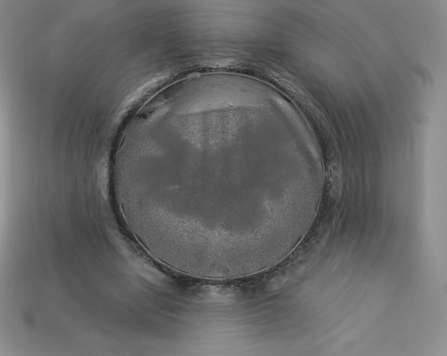 X0000113920442200910090939