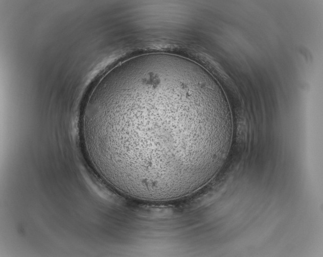 X0000113920443200910090939