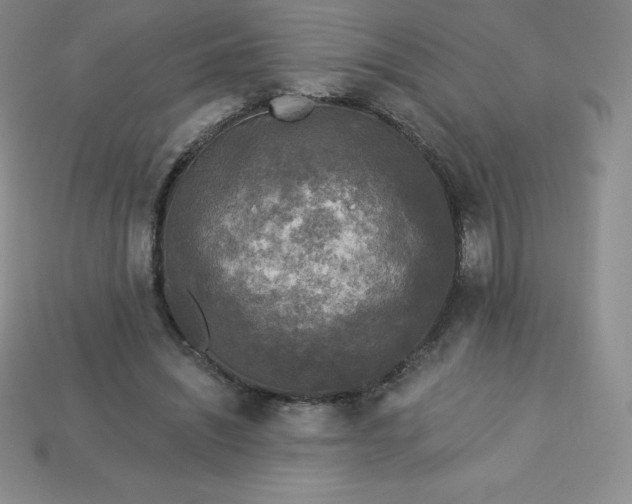 X0000113920444200910090939