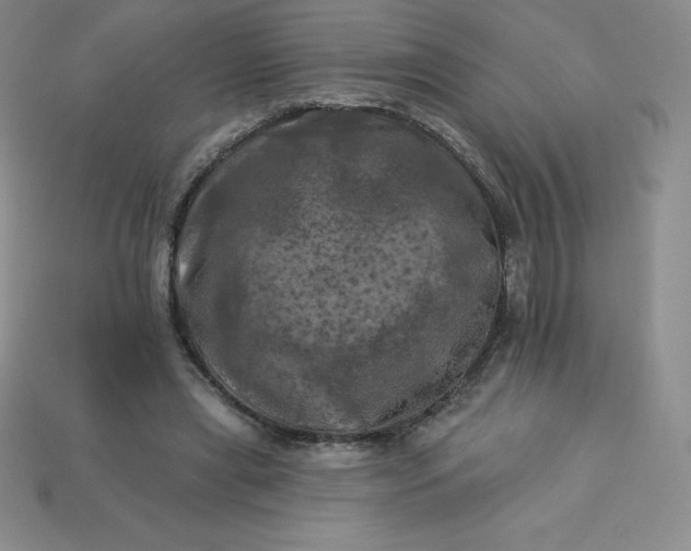 X0000113920445200910090939