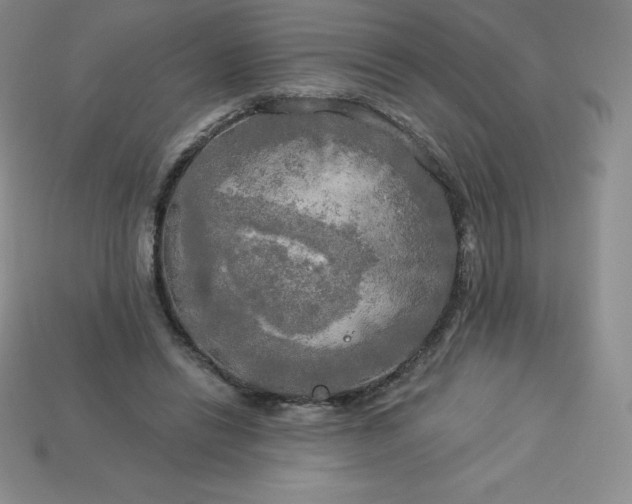 X0000113920446200910090939