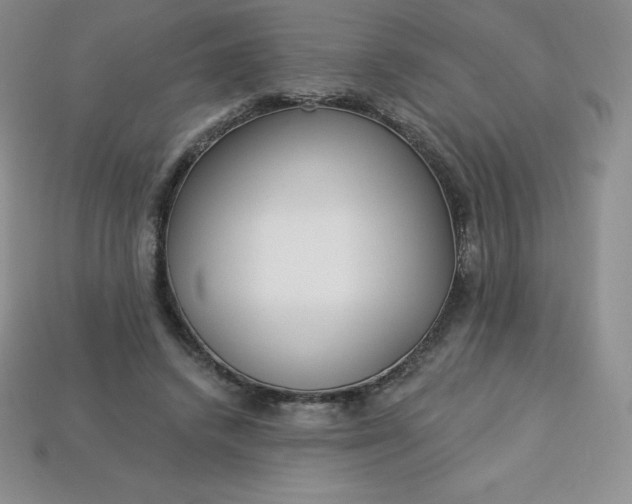 X0000113920448200910090939