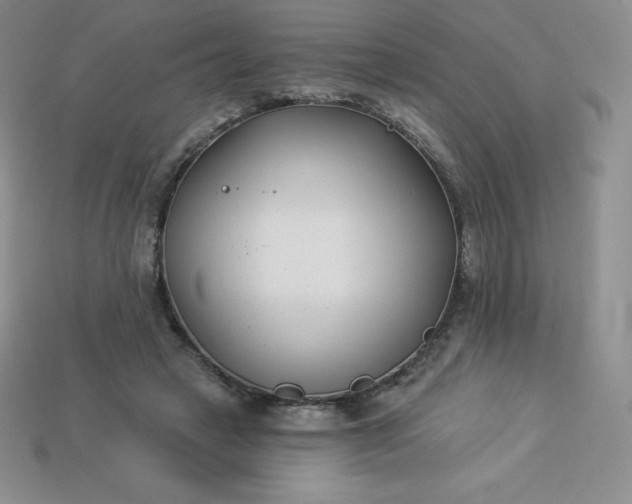 X0000113920449200910090939
