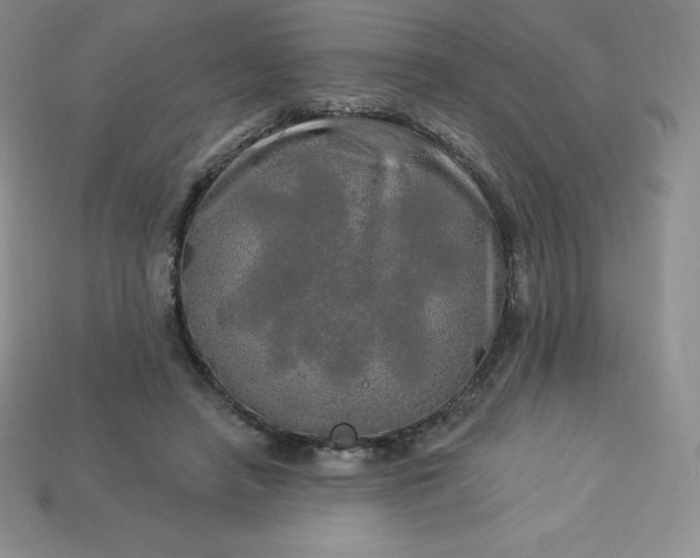 X0000113920450200910090939
