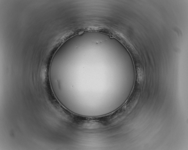 X0000113920451200910090939